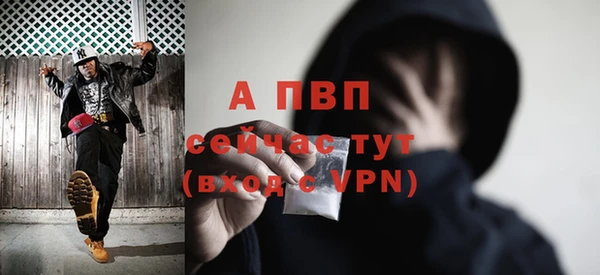 PSILOCYBIN Всеволожск