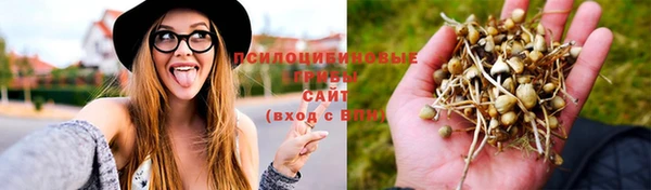 2c-b Дмитровск