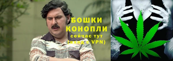 СК Дмитров