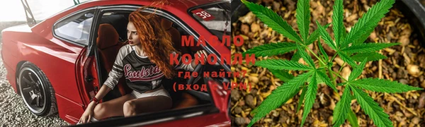 СК Дмитров