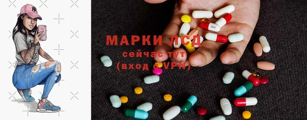 СК Дмитров