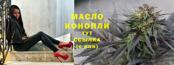 СК Дмитров