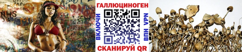Галлюциногенные грибы Psilocybine cubensis  Жуковка 